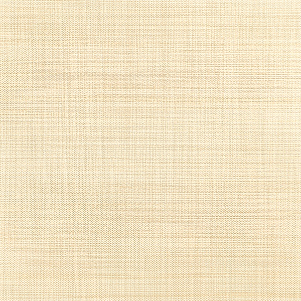 Ткань для рулонных штор Benone 7858 - изображение 1 - заказать онлайн в салоне штор Benone в Электрогорске